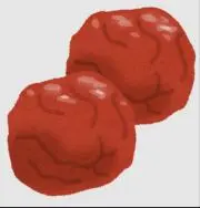 うめぼし【即購入OK】の画像