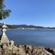 チイトの画像
