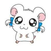 はむちゃんの画像