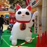 プロ様専用 ビオライズ 玄米ファイバー 3袋 賞味期限2025/11月 - メルカリ