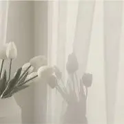 Cの画像