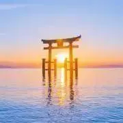 コンタック　★プロフ必読★の画像