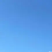 すももの画像