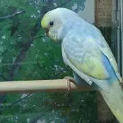 ひろみ