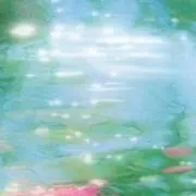 みょんの画像