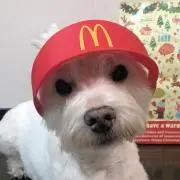 ゆん♥ガチャ詰めポーチお値下げ中♥の画像