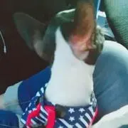 ☆すかい☆