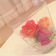 とんちゃんの画像