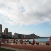 おはなの画像
