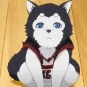 ぽっぽ