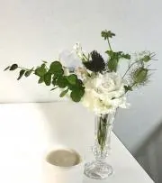 Junoの画像