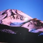 本願寺　久助の画像