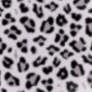 おもちの画像