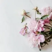 ❁の画像