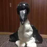 まさの画像