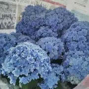 ＊J＊必ずプロフ読んでねヽ(´ー｀ )♥の画像