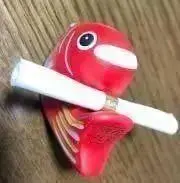こんたろー★の画像