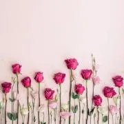Ruru