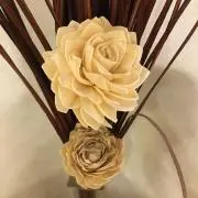 よこよこの画像