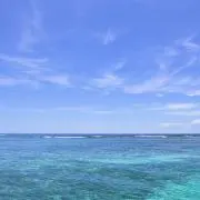 しーの画像