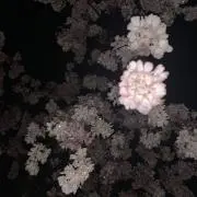 千利休