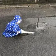 キャメロンの画像