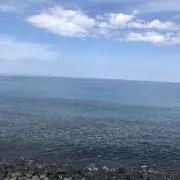 しろうの画像