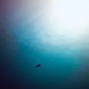 ジュリの画像