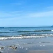 loloの画像