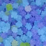 すみれの画像