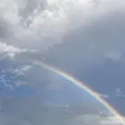 うさぎ［匿名配送］の画像