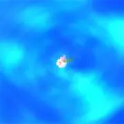 ルルロラ@