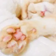 marutoto1010の画像