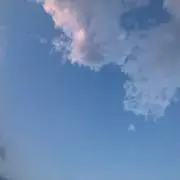 とまとの画像
