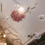 oao
