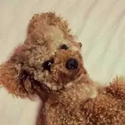 まろん