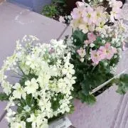 ★ちかぽん★プロフ要確認の画像