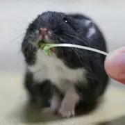 もろもろ