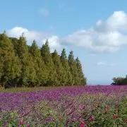 未来☆【プロフ必読】の画像