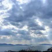 ぽんの画像