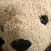 kumakicchu