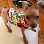 ぐぅたら母さん