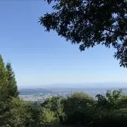Taaの画像