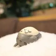 マコ