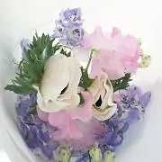 うさぎの画像