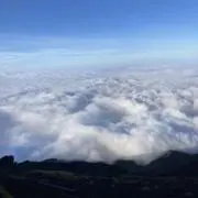 TSCの画像