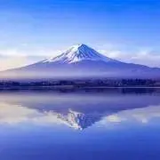 fuji'ズの画像