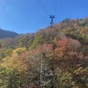 たかな　断捨離の画像