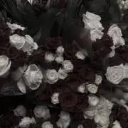ktmttgmの画像