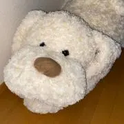 Yuuuの画像